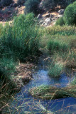 Select an image to enlarge