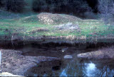 Select an image to enlarge