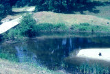 Select an image to enlarge