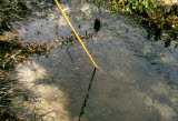 Select an image to enlarge