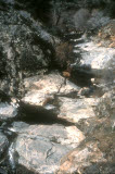 Select an image to enlarge