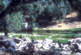 Select an image to enlarge