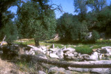 Select an image to enlarge