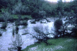 Select an image to enlarge