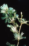 Select an image to enlarge