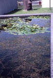 Select an image to enlarge