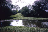 Select an image to enlarge