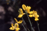 Select an image to enlarge
