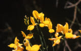 Select an image to enlarge