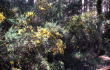 Select an image to enlarge