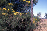 Select an image to enlarge