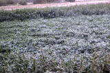 Select an image to enlarge