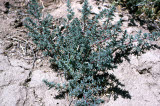 Select an image to enlarge