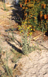 Select an image to enlarge