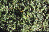 Select an image to enlarge