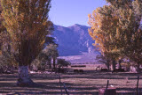 Select an image to enlarge