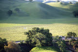 Select an image to enlarge