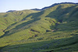 Select an image to enlarge