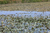 Select an image to enlarge