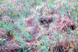 Select an image to enlarge