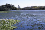 Select an image to enlarge