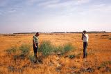 Select an image to enlarge