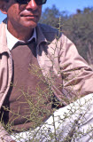 Select an image to enlarge