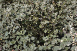 Select an image to enlarge