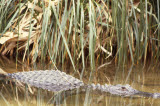 Select an image to enlarge