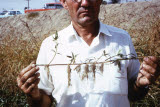 Select an image to enlarge