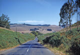 Select an image to enlarge