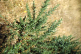 Select an image to enlarge