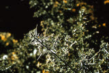 Select an image to enlarge