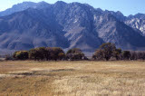 Select an image to enlarge