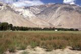 Select an image to enlarge