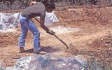 Select an image to enlarge