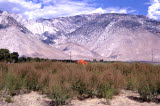 Select an image to enlarge