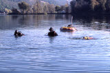 Select an image to enlarge