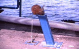 Select an image to enlarge