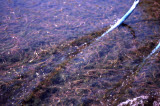 Select an image to enlarge