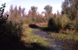 Select an image to enlarge