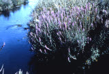 Select an image to enlarge