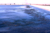Select an image to enlarge