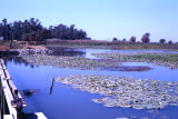 Select an image to enlarge
