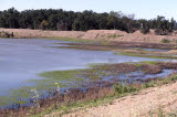 Select an image to enlarge