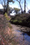 Select an image to enlarge