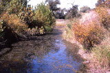 Select an image to enlarge