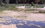 Select an image to enlarge
