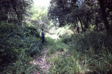 Select an image to enlarge