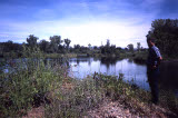 Select an image to enlarge